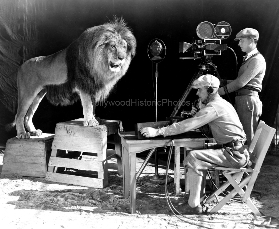 MGM Lion 1928 wm.jpg
